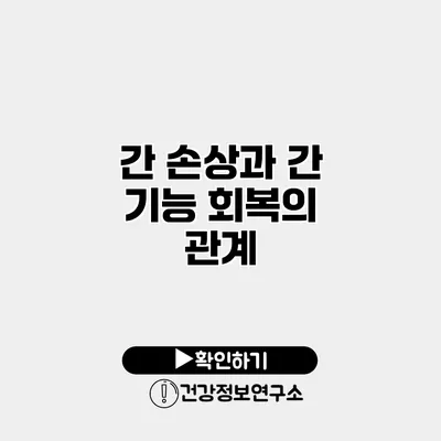 간 손상과 간 기능 회복의 관계