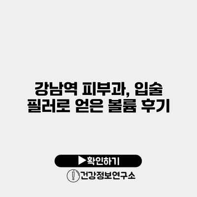 강남역 피부과, 입술 필러로 얻은 볼륨 후기