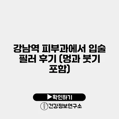 강남역 피부과에서 입술 필러 후기 (멍과 붓기 포함)