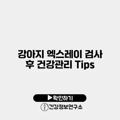 강아지 엑스레이 검사 후 건강관리 Tips