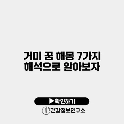 거미 꿈 해몽 7가지 해석으로 알아보자