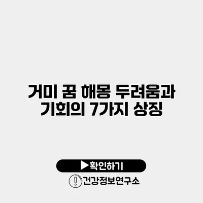 거미 꿈 해몽 두려움과 기회의 7가지 상징