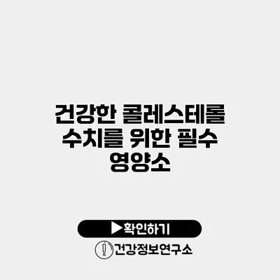 건강한 콜레스테롤 수치를 위한 필수 영양소