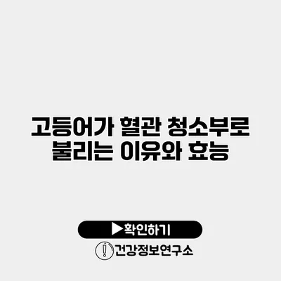 고등어가 혈관 청소부로 불리는 이유와 효능