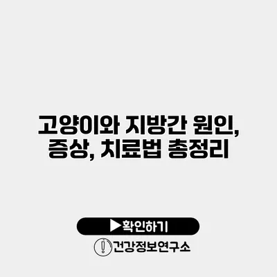 고양이와 지방간 원인, 증상, 치료법 총정리