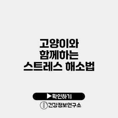 고양이와 함께하는 스트레스 해소법