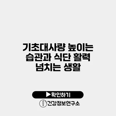 기초대사량 높이는 습관과 식단 활력 넘치는 생활