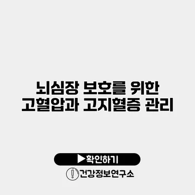 뇌심장 보호를 위한 고혈압과 고지혈증 관리