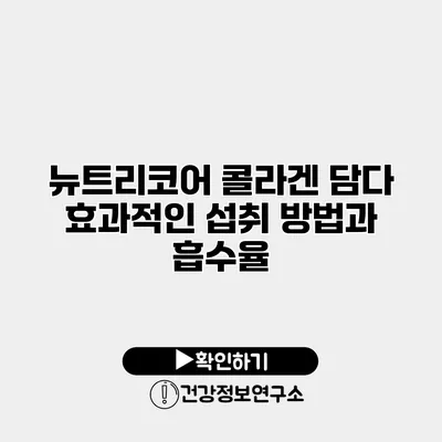 뉴트리코어 콜라겐 담다 효과적인 섭취 방법과 흡수율