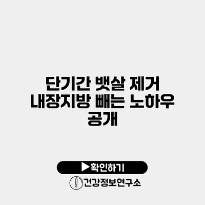 단기간 뱃살 제거 내장지방 빼는 노하우 공개