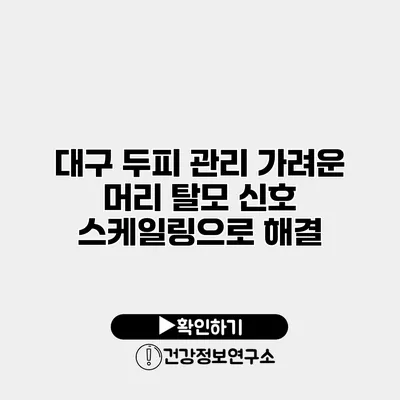 대구 두피 관리 가려운 머리 탈모 신호 스케일링으로 해결
