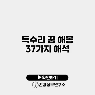 독수리 꿈 해몽 37가지 해석