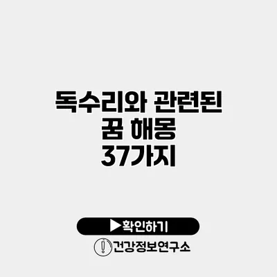 독수리와 관련된 꿈 해몽 37가지