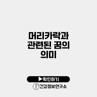 머리카락과 관련된 꿈의 의미