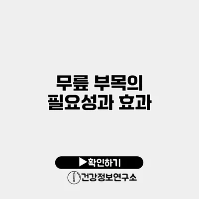 무릎 부목의 필요성과 효과