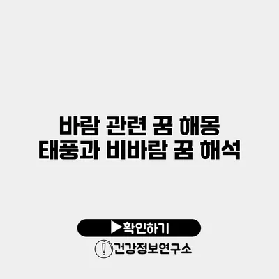 바람 관련 꿈 해몽 태풍과 비바람 꿈 해석