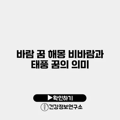 바람 꿈 해몽 비바람과 태풍 꿈의 의미