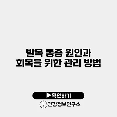 발목 통증 원인과 회복을 위한 관리 방법