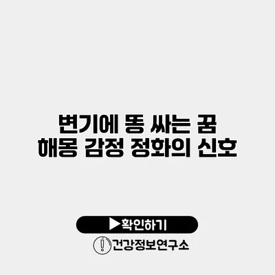 변기에 똥 싸는 꿈 해몽 감정 정화의 신호