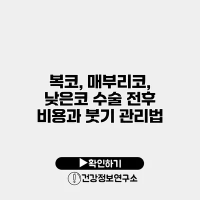 복코, 매부리코, 낮은코 수술 전후 비용과 붓기 관리법