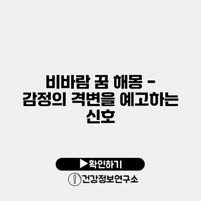 비바람 꿈 해몽 - 감정의 격변을 예고하는 신호