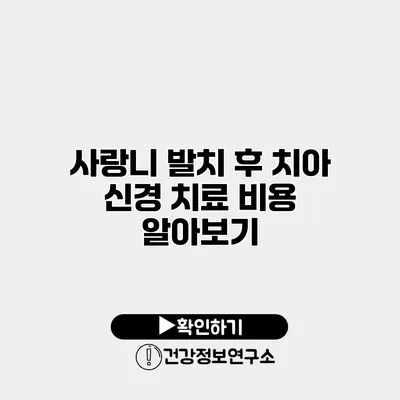 사랑니 발치 후 치아 신경 치료 비용 알아보기