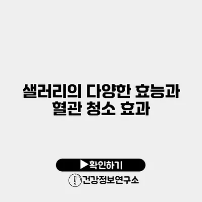 샐러리의 다양한 효능과 혈관 청소 효과