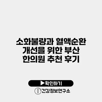 소화불량과 혈액순환 개선을 위한 부산 한의원 추천 후기