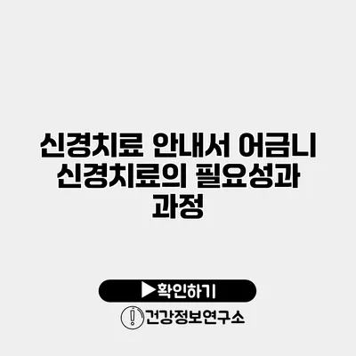 신경치료 안내서 어금니 신경치료의 필요성과 과정