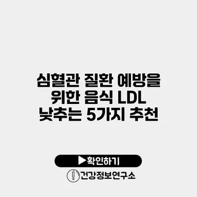 심혈관 질환 예방을 위한 음식 LDL 낮추는 5가지 추천
