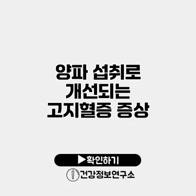 양파 섭취로 개선되는 고지혈증 증상