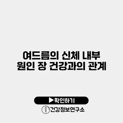 여드름의 신체 내부 원인 장 건강과의 관계