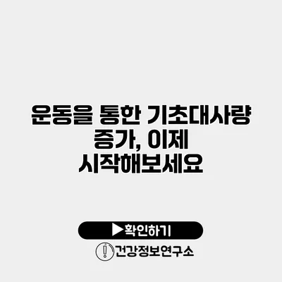 운동을 통한 기초대사량 증가, 이제 시작해보세요