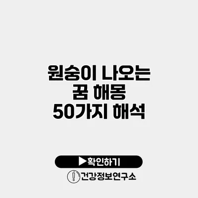 원숭이 나오는 꿈 해몽 50가지 해석