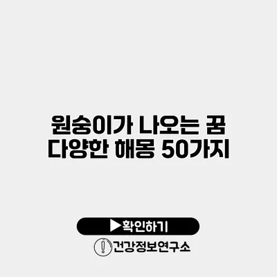 원숭이가 나오는 꿈 다양한 해몽 50가지