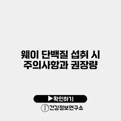 웨이 단백질 섭취 시 주의사항과 권장량