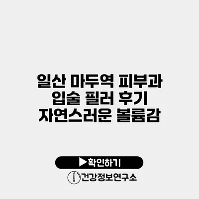 일산 마두역 피부과 입술 필러 후기 자연스러운 볼륨감