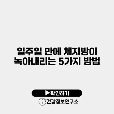 일주일 만에 체지방이 녹아내리는 5가지 방법