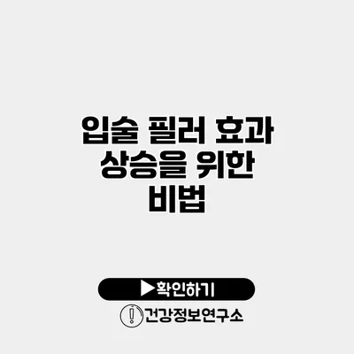 입술 필러 효과 상승을 위한 비법