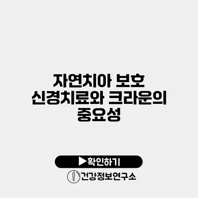 자연치아 보호 신경치료와 크라운의 중요성
