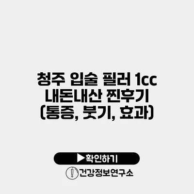 청주 입술 필러 1cc 내돈내산 찐후기 (통증, 붓기, 효과)