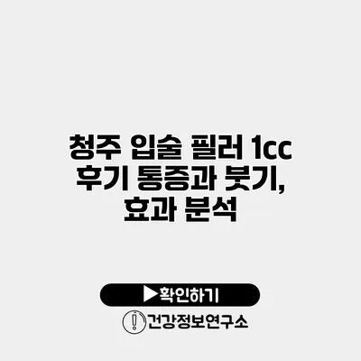 청주 입술 필러 1cc 후기 통증과 붓기, 효과 분석