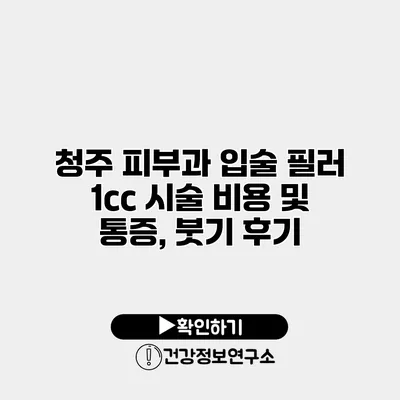 청주 피부과 입술 필러 1cc 시술 비용 및 통증, 붓기 후기