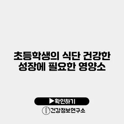 초등학생의 식단 건강한 성장에 필요한 영양소