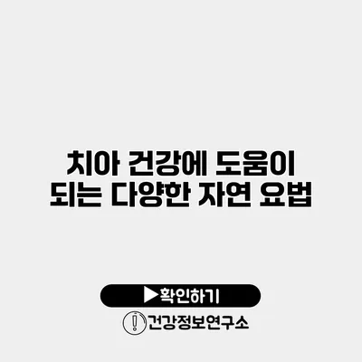 치아 건강에 도움이 되는 다양한 자연 요법