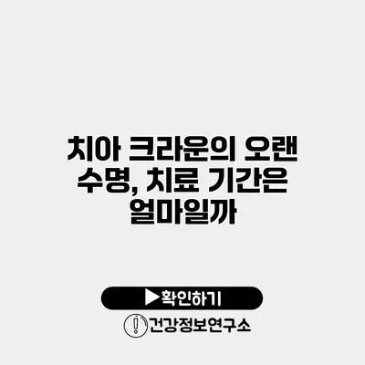 치아 크라운의 오랜 수명, 치료 기간은 얼마일까?