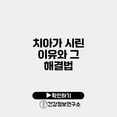 치아가 시린 이유와 그 해결법
