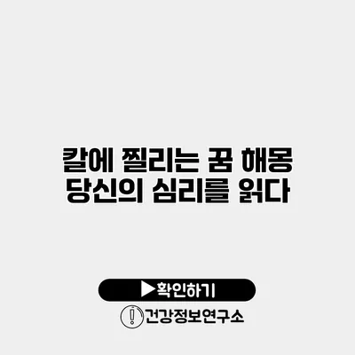 칼에 찔리는 꿈 해몽 당신의 심리를 읽다