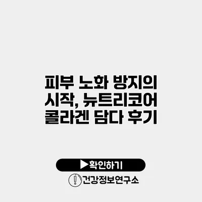 피부 노화 방지의 시작, 뉴트리코어 콜라겐 담다 후기