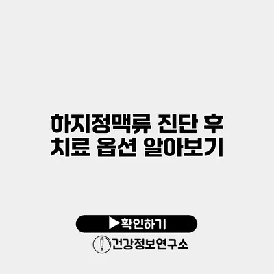 하지정맥류 진단 후 치료 옵션 알아보기